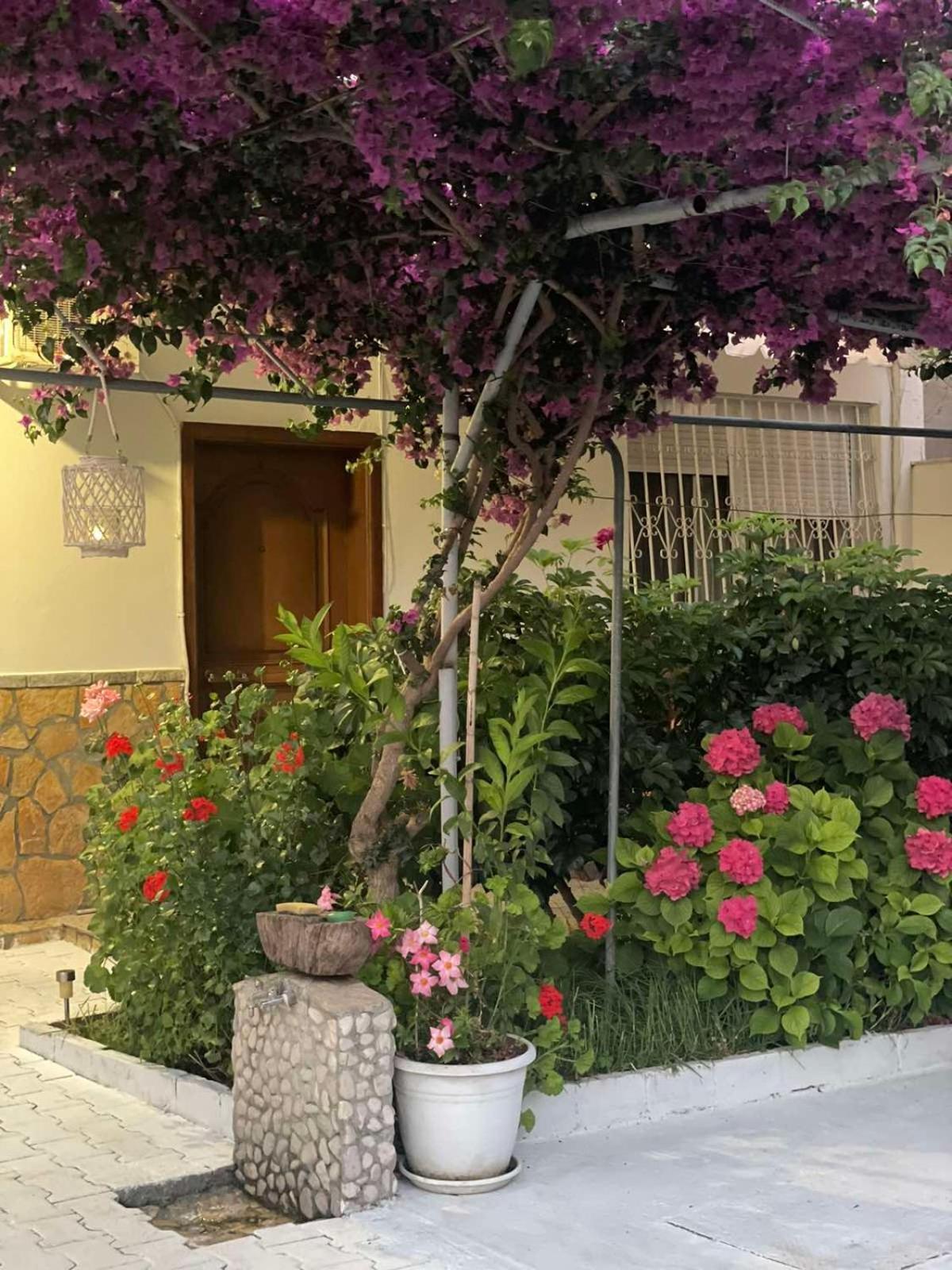 Apartments Athina Orikum Esterno foto